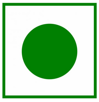 Rapily Premium Cashews