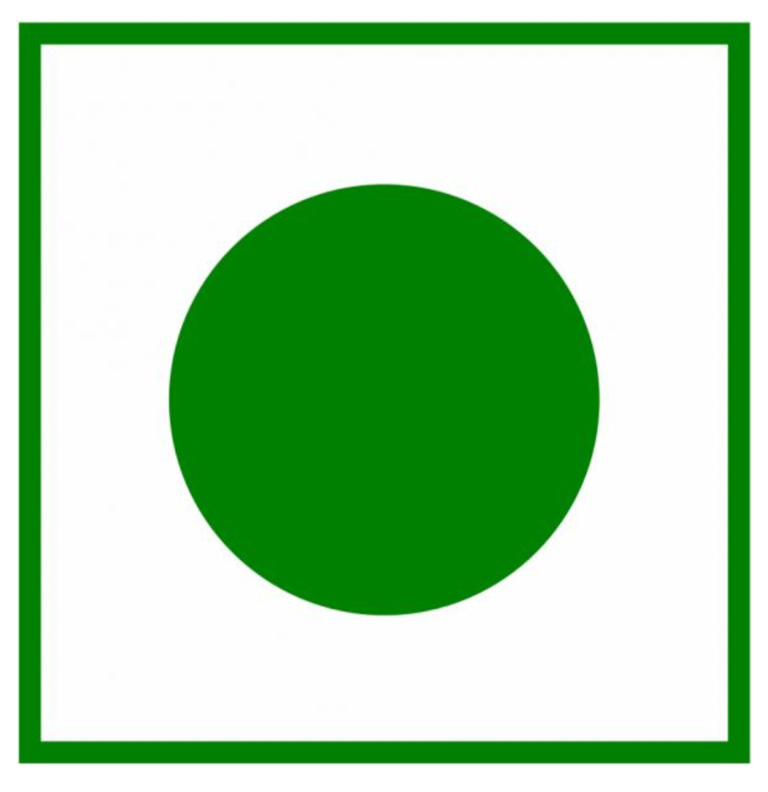 Rapily Premium Almonds